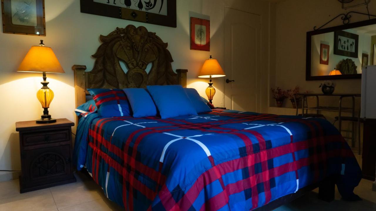 El Jardin Del Eden B&B Boutique 쿠에르나바카 외부 사진
