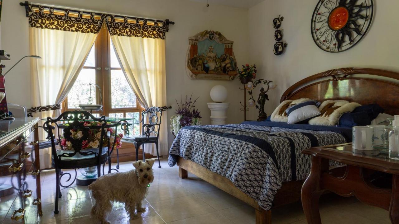 El Jardin Del Eden B&B Boutique 쿠에르나바카 외부 사진