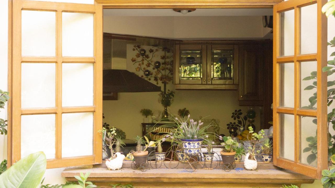 El Jardin Del Eden B&B Boutique 쿠에르나바카 외부 사진