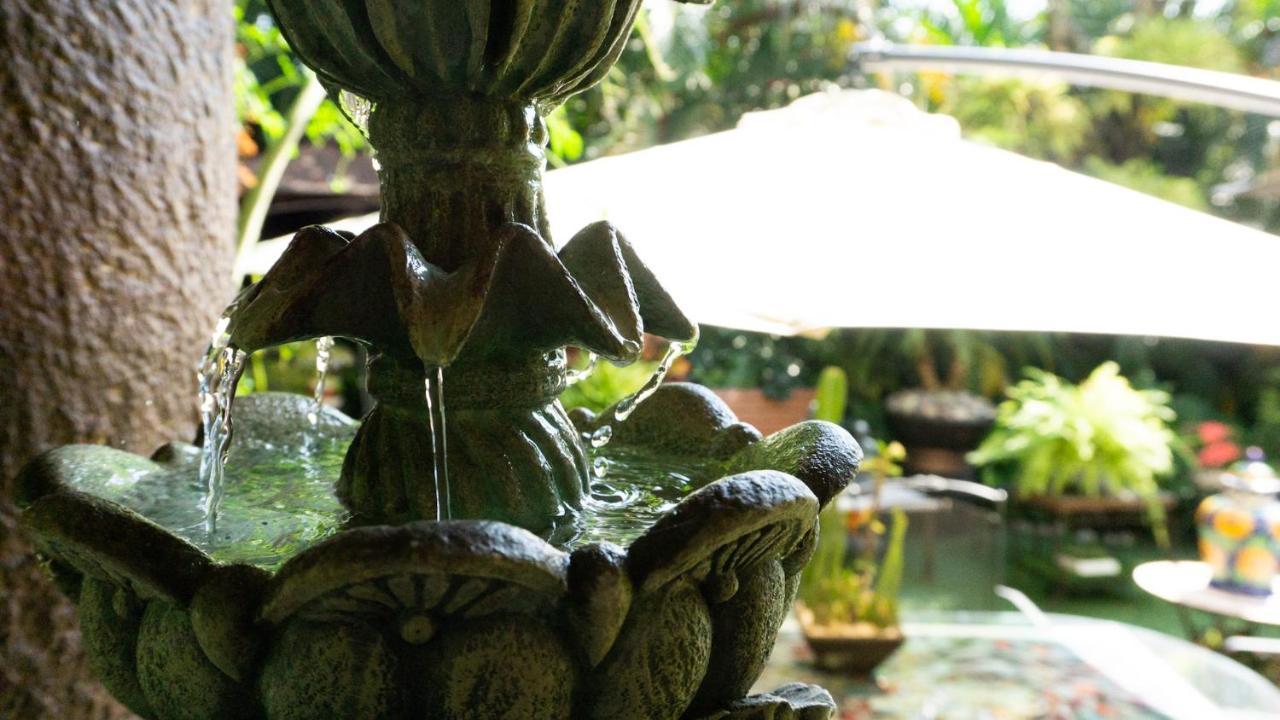 El Jardin Del Eden B&B Boutique 쿠에르나바카 외부 사진