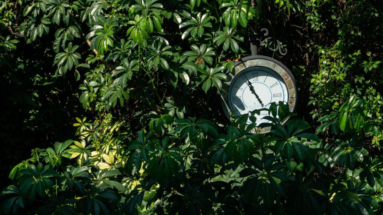 El Jardin Del Eden B&B Boutique 쿠에르나바카 외부 사진