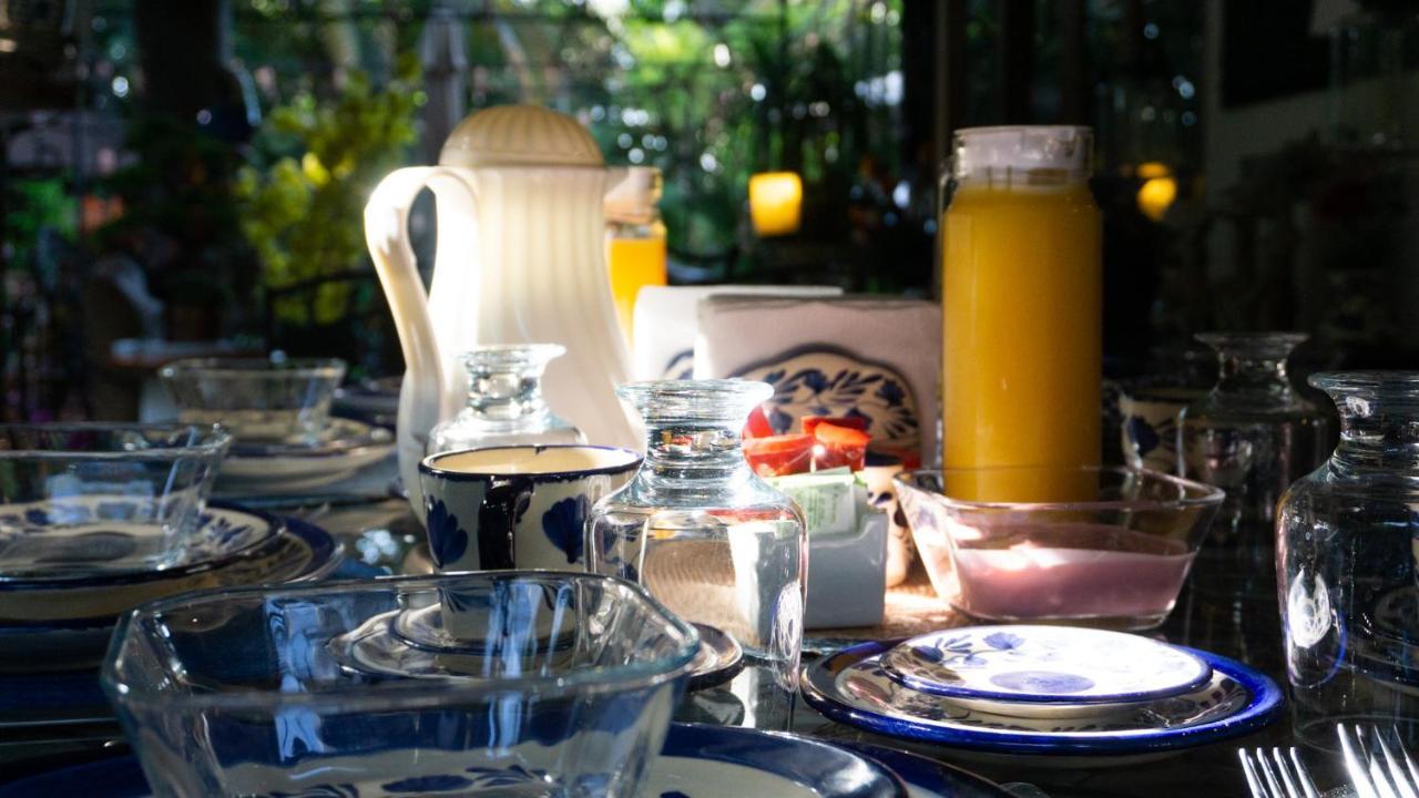 El Jardin Del Eden B&B Boutique 쿠에르나바카 외부 사진