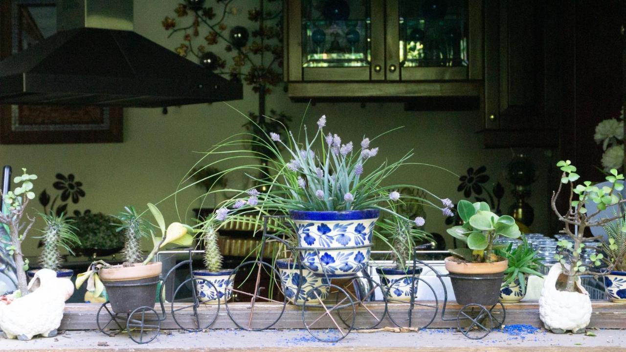 El Jardin Del Eden B&B Boutique 쿠에르나바카 외부 사진