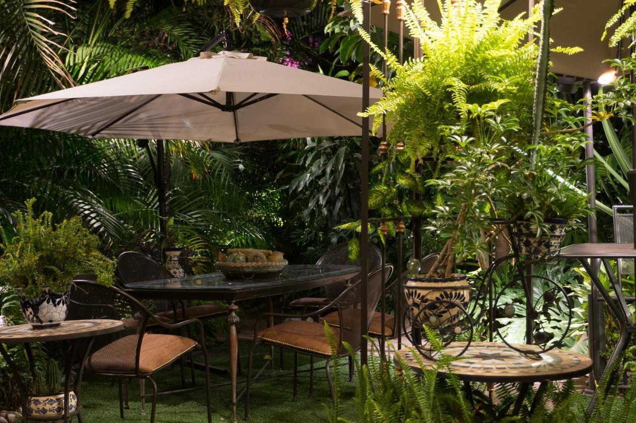 El Jardin Del Eden B&B Boutique 쿠에르나바카 외부 사진